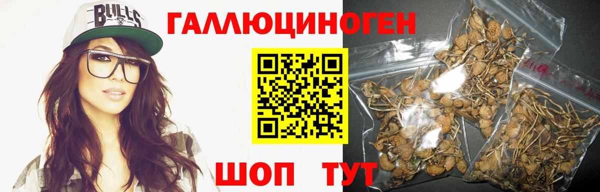 купить   Галлюциногенные грибы Cubensis  Вход с VPN  Буйнакск 
