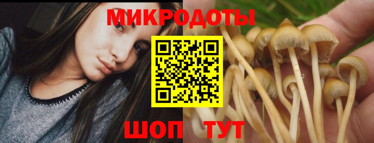 Галлюциногенные грибы мицелий Буйнакск